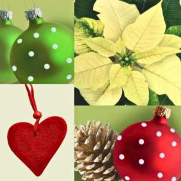 Servietten - Red+Green