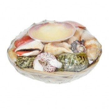Echte Muscheln in dekorativem Korb