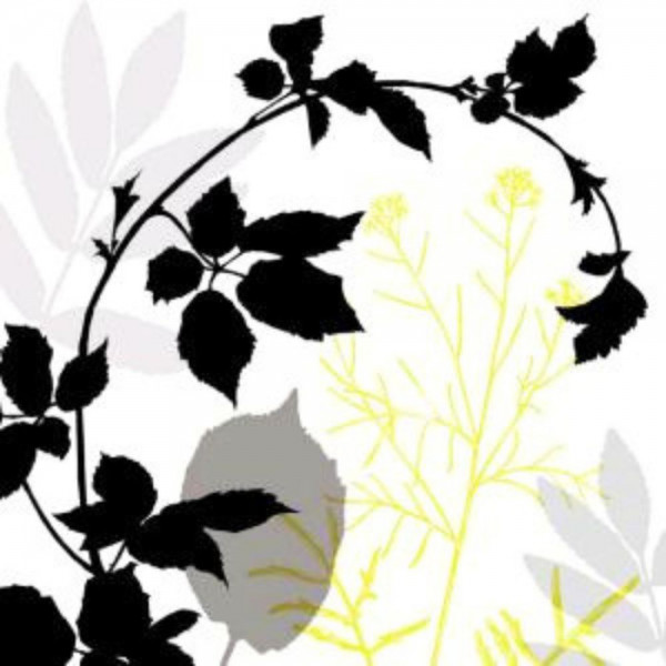 Servietten - Magic Forest