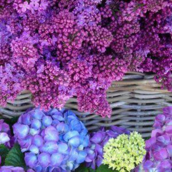 Servietten - Fliederkorb