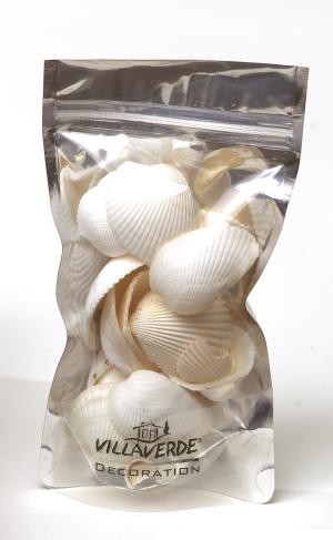 Muschel Mix Beach Summer weiß 200g