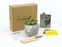 Speckstein Deko Set Blumentopf Speckstein Deko Set Blumentopf