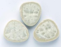 100g Ceramic Mosaic weiss 17x20mm 100g Ceramic Mosaic weiss 17x20mm