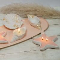 Silikon Gießform Muscheln und Seestern Silikon Gießform Muscheln und Seestern