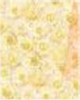 Transparentpapier Rosen Champagner Transparentpapier Rosen Champagner