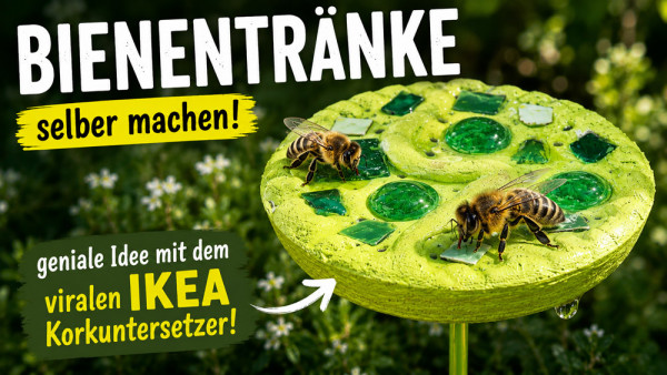 Bienentraenke-selber-machen-DIY