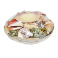 Echte Muscheln in dekorativem Korb Echte Muscheln in dekorativem Korb