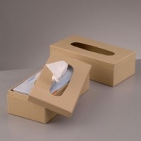 Box für Kosmetiktücher zur individuellen Gestaltung Box für Kosmetiktücher zur individuellen Gestaltung