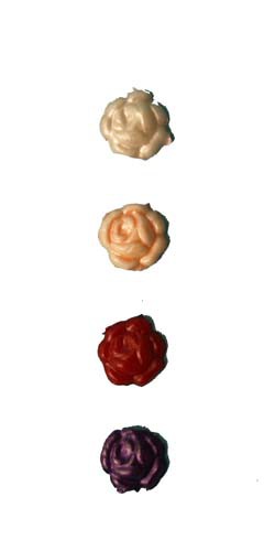 10 Rosen, 1,5 cm