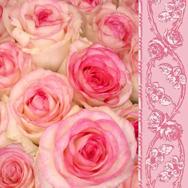 Servietten - Sweet Roses