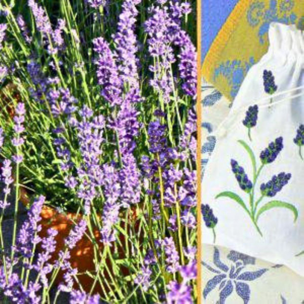 Servietten - Lavendel