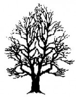Kunststempel Baum Kunststempel Baum