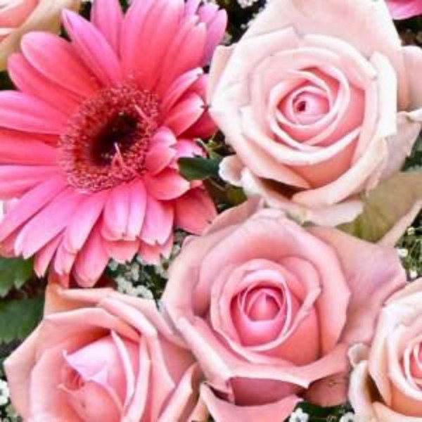 Servietten - Rosengruß