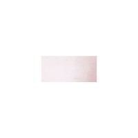 Japan Seide rose Japan Seide rose