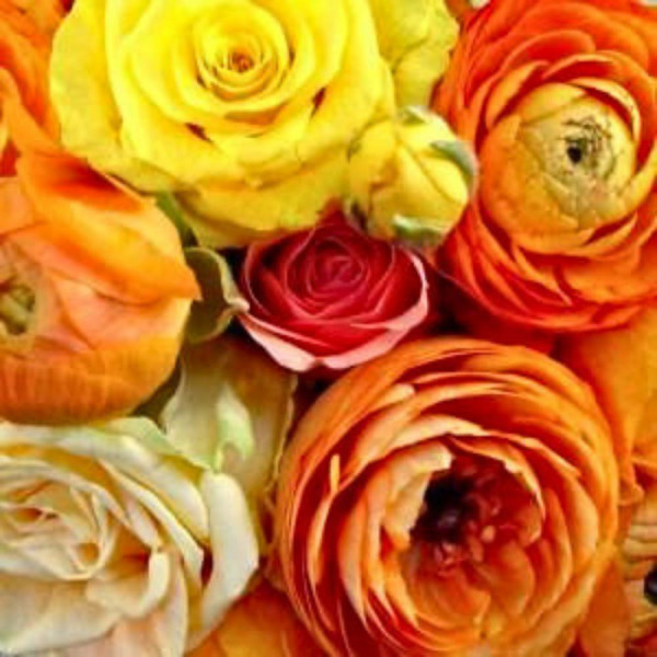 Servietten - Sunny Avantgarde