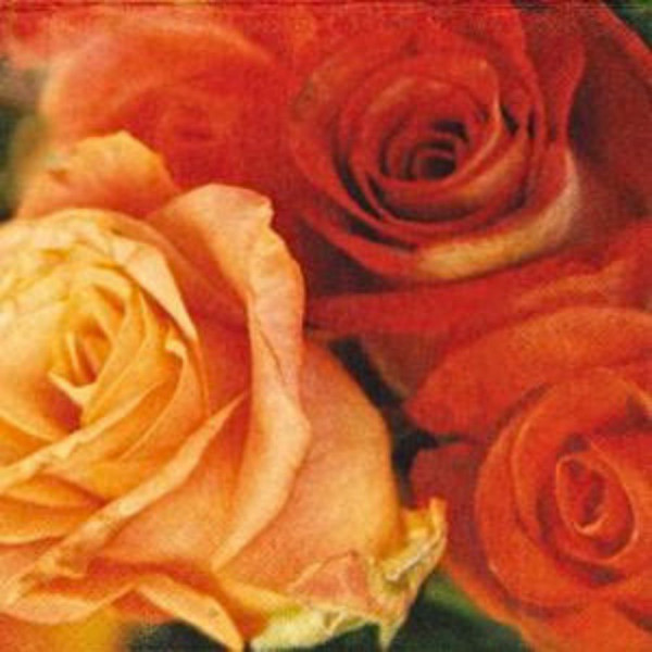 Servietten - Teerosen