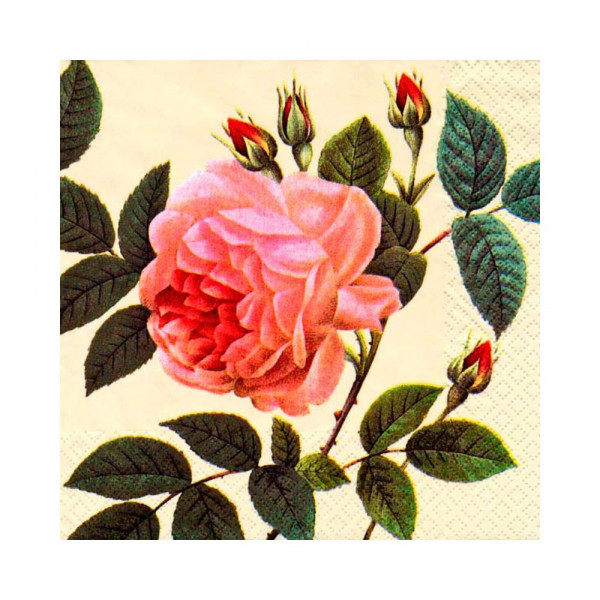 Cocktailservietten - Rosa