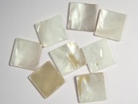 Perlmutt natur 15x15 mm Perlmutt natur 15x15 mm