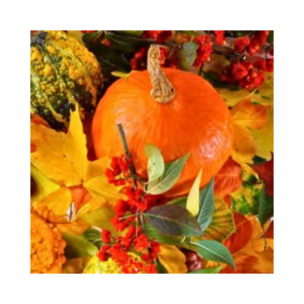 Cocktailservietten - Kürbisse