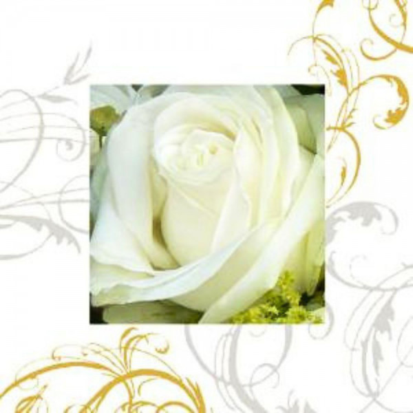 Servietten - Principessa Avantgarde