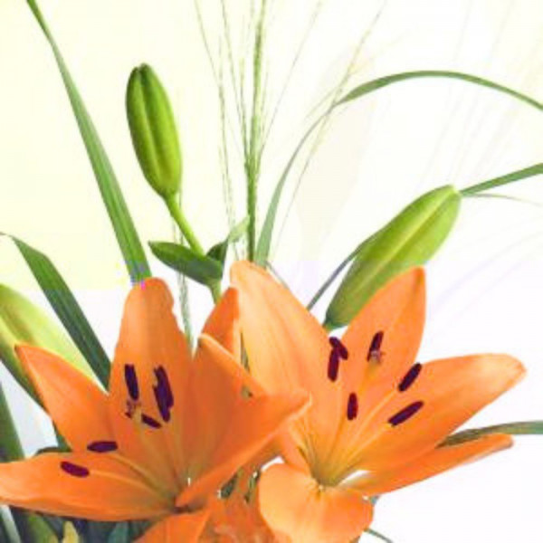 Servietten - Lilienzauber