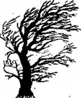 Kunststempel Baum im Wind Kunststempel Baum im Wind